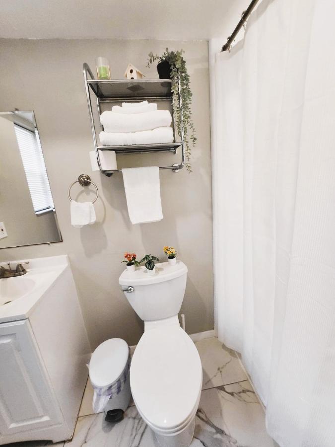 Adorable Mini Suite In Tampa Eksteriør bilde