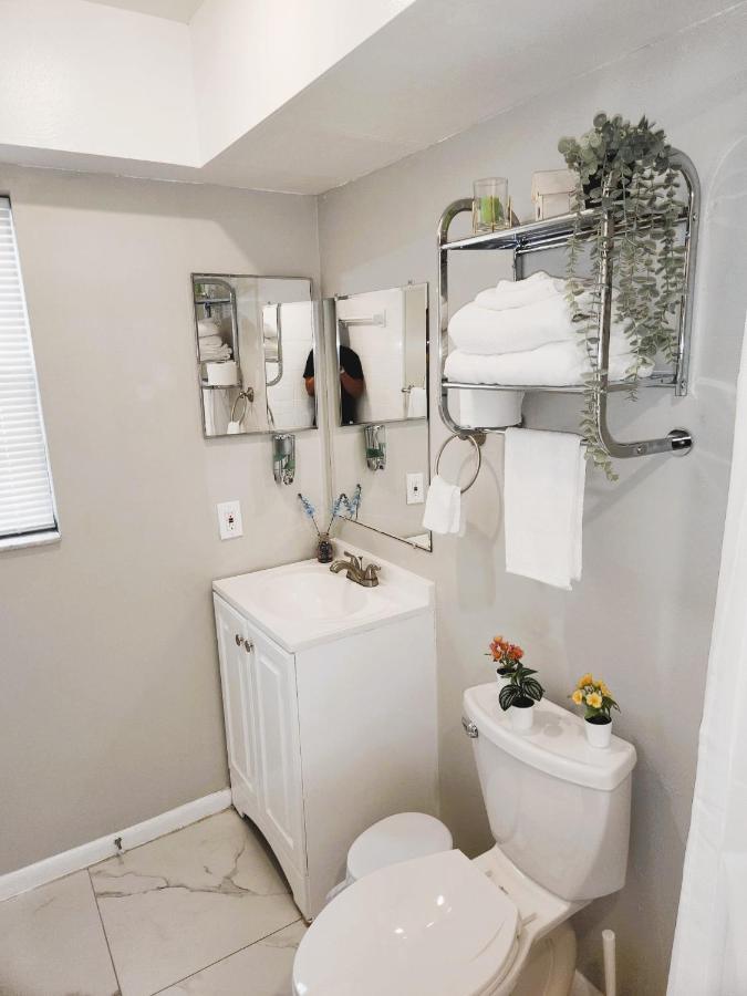 Adorable Mini Suite In Tampa Eksteriør bilde